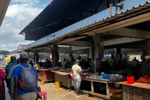 Dar es Salaam : visite citadine en van