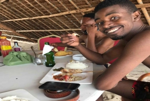 Dar es Salaam heldags privat rundtur