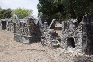 Zanzibar: Halvdagsrundtur till Fängelseön