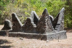 Zanzibar: Halvdagsrundtur till Fängelseön