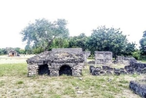 Zanzibar: Halvdagsrundtur till Fängelseön