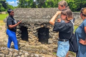 Zanzibar: Halvdagsrundtur till Fängelseön