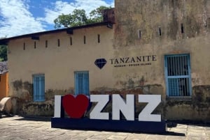 Zanzibar: Halvdagsrundtur till Fängelseön