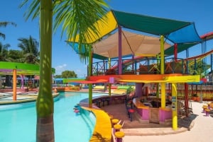 Dar es Salaam: Kunduchi Wet 'n' Wild Water Park with Guide