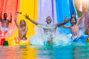 Dar es Salaam: Kunduchi Wet 'n' Wild vannpark med guide