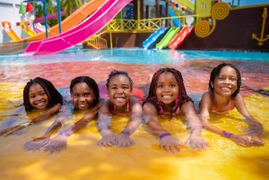 Dar es Salaam: Kunduchi Wet 'n' Wild vannpark med guide