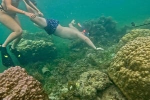 DAR ES SALAAM: MBUDYA-SAARI SNORKLAUSKIERROS JA RANTAVIBAT