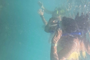 DAR ES SALAAM: MBUDYA-SAARI SNORKLAUSKIERROS JA RANTAVIBAT