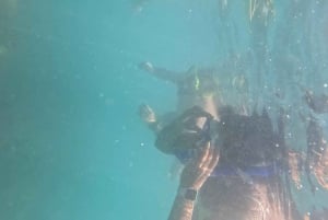 DAR ES SALAAM: MBUDYA ISLAND SNORKELING TOUR & BEACH VIBES