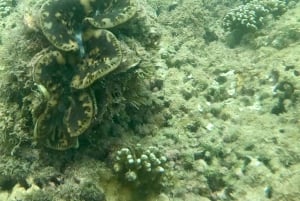 DAR ES SALAAM: MBUDYA ISLAND SNORKELING TOUR & BEACH VIBES