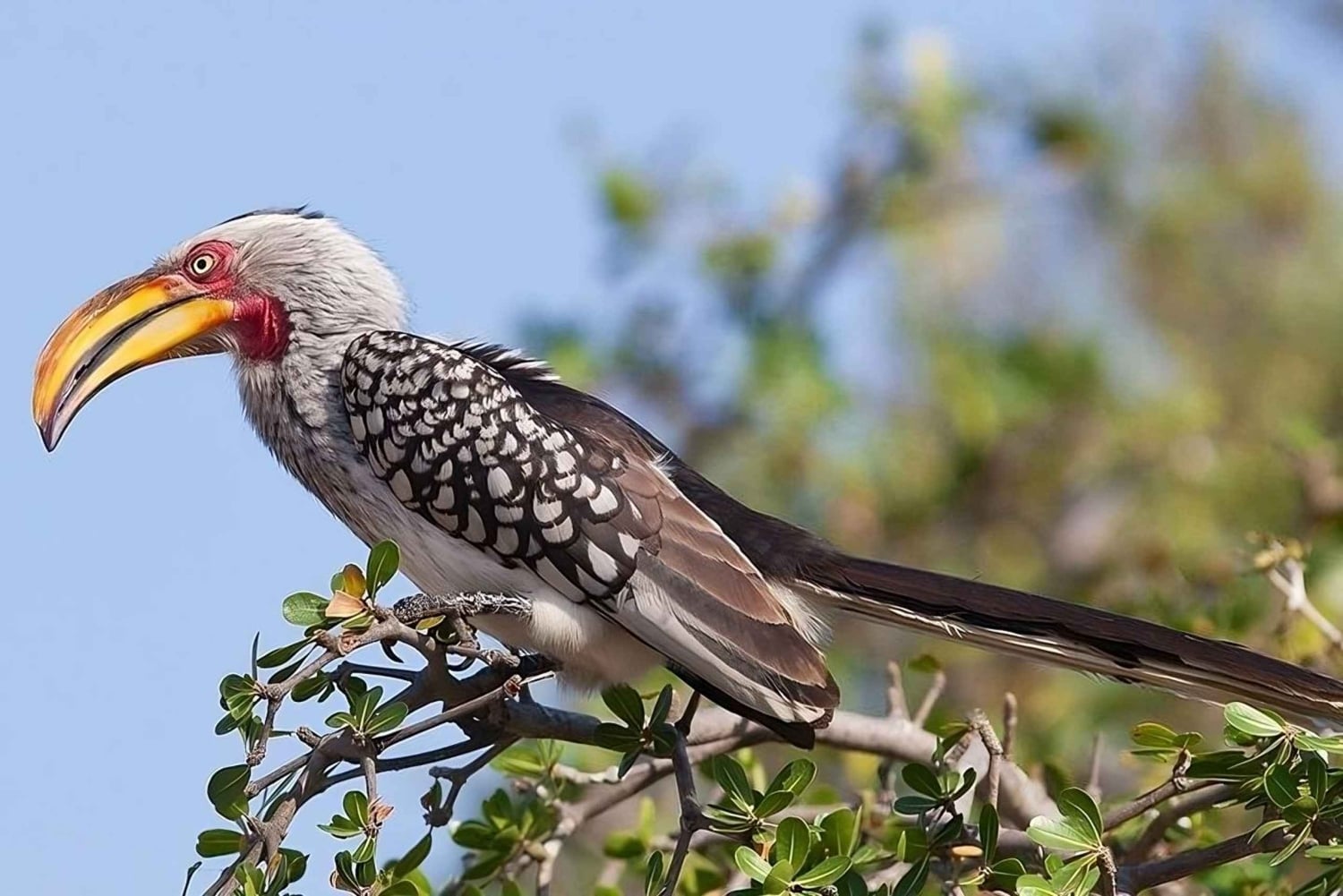 Dar es Salaam : Safari privé de 2 jours dans le parc national de Mikumi