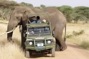 Dar es Salaam : Safari privé de 2 jours dans le parc national de Mikumi