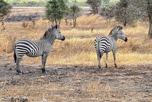 Dar es Salaam : Safari privé de 2 jours dans le parc national de Mikumi