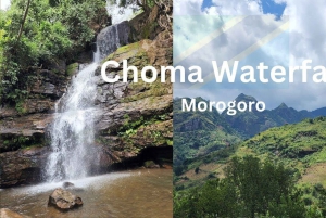 Dar es Salaam: Safári de 3 dias no Parque Nacional Mikumi