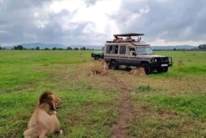 Dar es Salaam: 3-dniowe safari w Parku Narodowym Mikumi
