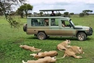 Dar es Salaam: 3-dniowe safari w Parku Narodowym Mikumi