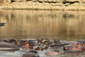 Dar es Salaam: Mikumi National Park Day Trip By Train