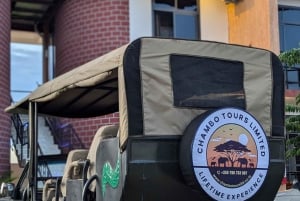 Dar es Salaam: wycieczka 1-dniowa do Parku Narodowego Mikumi z lunchem