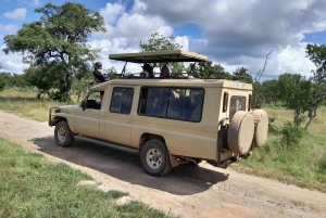 Dar es Salaam: Escursione di un giorno al Parco Nazionale di Mikumi con viaggio in treno