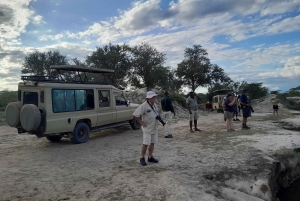Dar es Salaam: Escursione di un giorno al Parco Nazionale di Mikumi con viaggio in treno