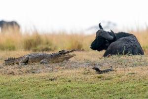 Dar es Salaam: Mikumin kansallispuisto ja Uluguru Falls -retki