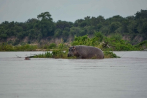 Dar Es Salaam: Overnight safari at Nyerere National Park