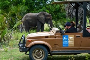 Dar Es Salaam: Overnight safari at Nyerere National Park