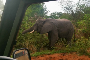 Dar Es Salaam: Overnight Safari Tour Nyerere National Park