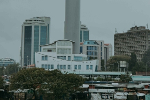 Dar es Salaam Private Tour durch die Stadt