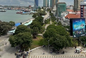 Dar es Salaam: Private & Shared Driving Tour with Guide