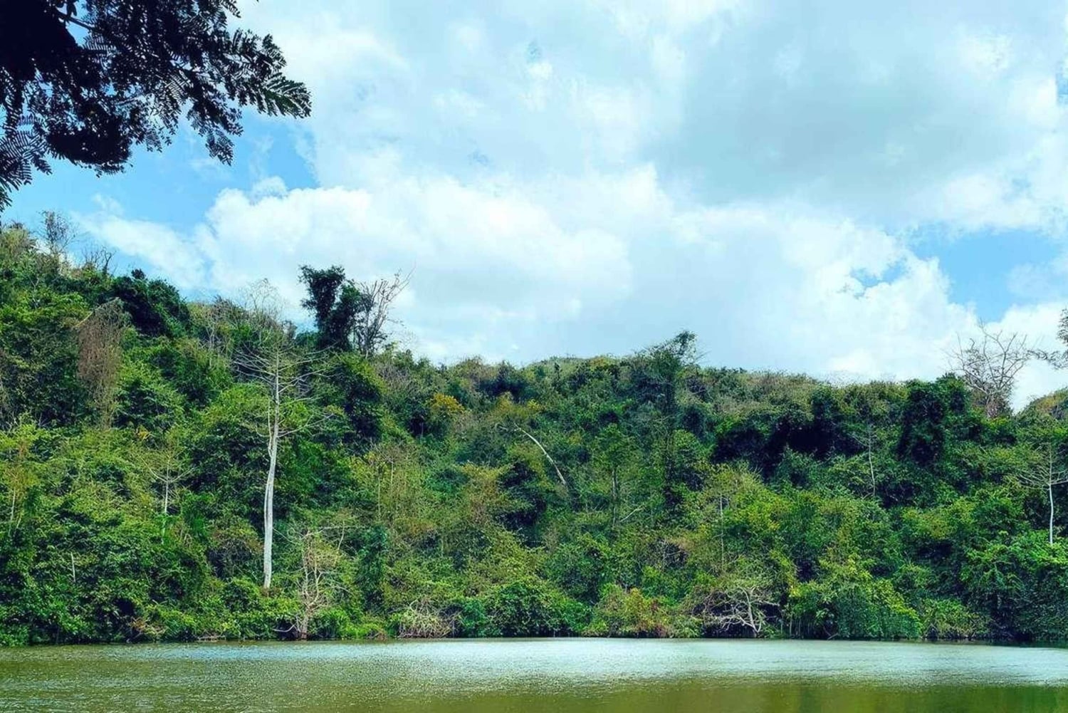 Дар-эс-Салам: 2-дневный кемпинг-тур в лесной заповедник Пугу-Хиллс