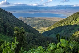 Dar es Salaam: Pugu Hills Forest Reserve 2-Day Camping Tour