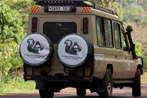 Дар-эс-Салам: 2-дневный кемпинг-тур в лесной заповедник Пугу-Хиллс