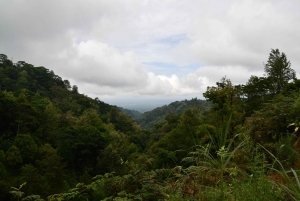 Дар-эс-Салам: 2-дневный кемпинг-тур в лесной заповедник Пугу-Хиллс