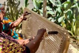 Dar es Salaam: Rattanveving med lokale håndverkere