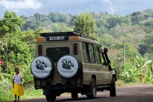 Dar es Salaam: Saadanin kansallispuiston päiväretki