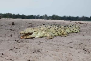 Dar es Salaam: Selous en Mikumi National Park 6-daagse tour