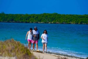 DAR ES SALAAM:EXCURSIÓN DE UN DÍA A LA ISLA SINDA UN LUGAR PARA BUCEAR EN DAR
