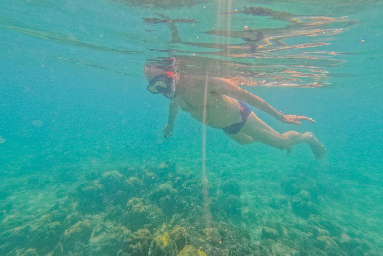 DAR ES SALAAM: MBUDYA-SAARI SNORKLAUSKIERROS JA RANTAVIBAT