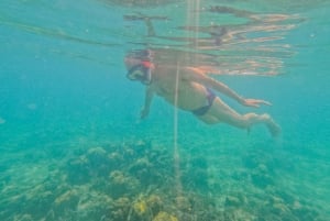 DAR ES SALAAM: MBUDYA-SAARI SNORKLAUSKIERROS JA RANTAVIBAT