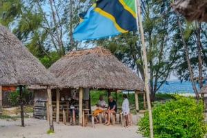 DAR ES SALAAM: MBUDYA-SAARI SNORKLAUSKIERROS JA RANTAVIBAT