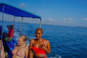 DAR ES SALAAM: MBUDYA-SAARI SNORKLAUSKIERROS JA RANTAVIBAT