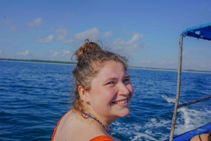 DAR ES SALAAM: MBUDYA-SAARI SNORKLAUSKIERROS JA RANTAVIBAT