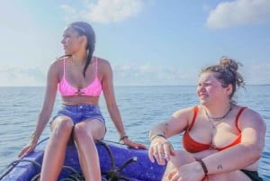 DAR ES SALAAM: MBUDYA-SAARI SNORKLAUSKIERROS JA RANTAVIBAT