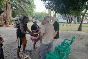 ダルエスサラーム：伝統音楽体験をお楽しみください