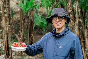 Дар-эс-Салам: двухдневный поход и кемпинг в горах Улугуру