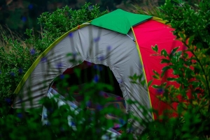 Дар-эс-Салам: двухдневный поход и кемпинг в горах Улугуру