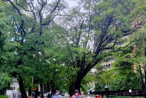 Dar es Salaamin kävelykierros: Dalmatia: Historia ja kätketyt aarteet