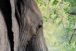 1-DAY MEMORABLE SAFARI AT MOSHI TO ARUSHA NATIONAL PARK