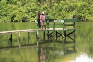 Dagsomvisning til Pugu Kazimzumbwi-skogen og båttur på Minaki-dammen